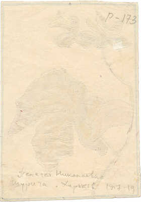 Шурига Пелагея Николаевна. Стебель растения